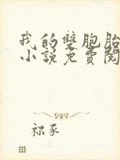 我的双胞胎老婆小说免费阅读全文