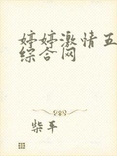 婷婷激情五月天综合网