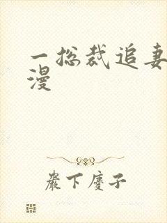 一总裁追妻路漫漫