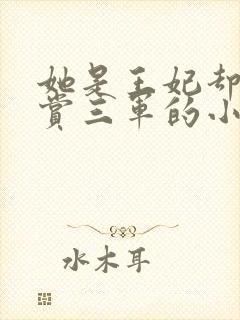 她是王妃却被犒赏三军的小说