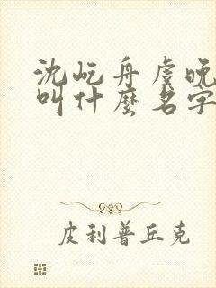 沈屹舟虞晚小说叫什么名字