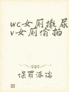 wc女厕撒尿tv女厕偷拍