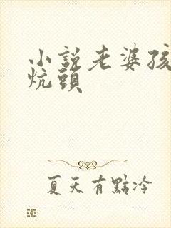 小说老婆孩子热炕头