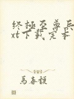 终极至尊兵王txt下载完本