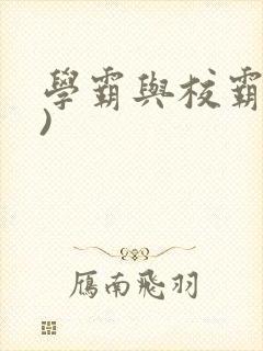 学霸与校霸(双)