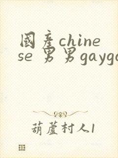 国产chinese 男男gaygay