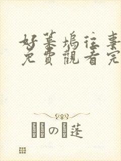 好莱坞往事在线免费观看完整版国语