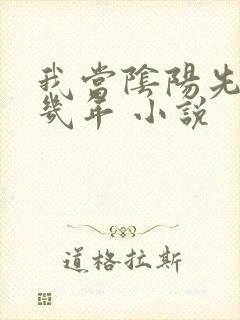 我当阴阳先生那几年 小说