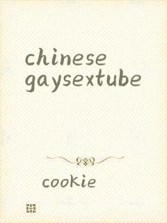 chinesegaysextube