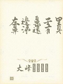 左边鼻子里有黄鼻涕还有臭味封面