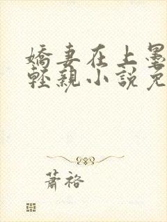 娇妻在上墨少轻轻亲小说免费阅读封面
