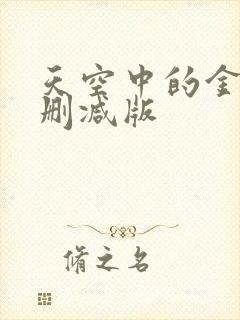 天空中的金星未删减版