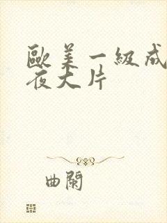 欧美一级成年午夜大片封面