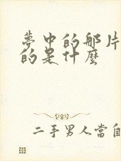 梦中的那片海讲的是什么封面