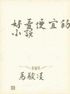 好看便宜的原耽小说