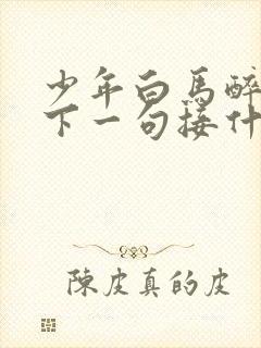 少年白马醉春风下一句接什么好封面