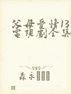 父母爱情13集电视剧全集封面