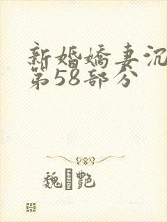 新婚娇妻沉沦1第58部分