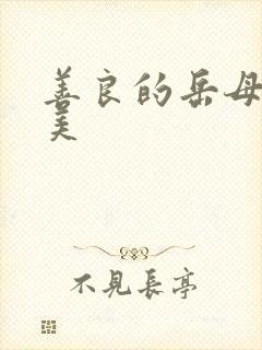 善良的岳母李恩美