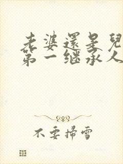 老婆还是儿子是第一继承人封面