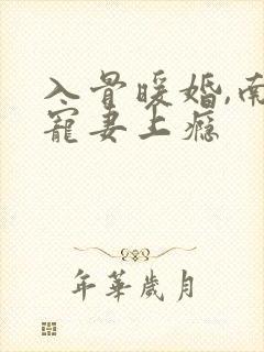 入骨暖婚,南少宠妻上瘾