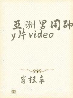 亚洲男同帅gay片video