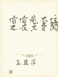 偷偷藏不住新婚之夜免费阅读