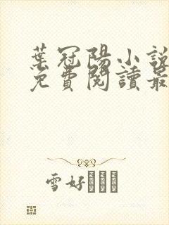 叶冠阳小说全文免费阅读最新章节