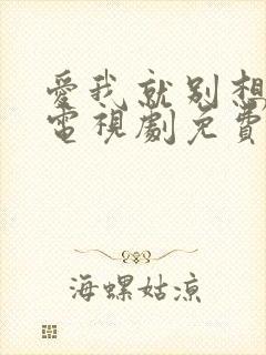 爱我就别想太多电视剧免费全集封面