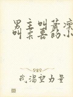 男主叫萧凛女主叫柔嘉的小说