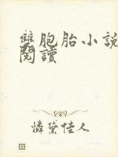 双胞胎小说免费阅读封面