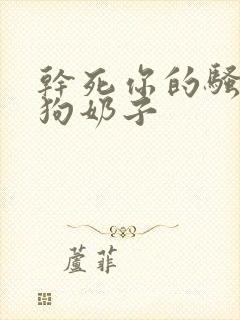 干死你的骚b母狗奶子