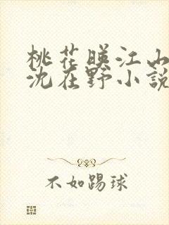 桃花映江山原著沈在野小说免费阅读无弹窗