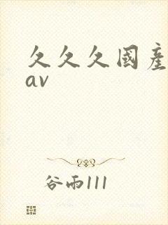 久久久国产精品av封面