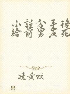 小说分手后我嫁给前男友死对头在线阅读