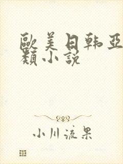 欧美日韩亚洲另类小说