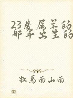 23岁属羊的是哪年出生的