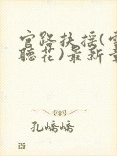 官路扶摇(雪路听花)最新章节免费阅读