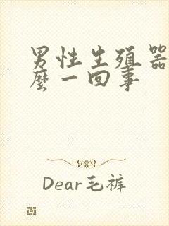 男性生殖器痒怎么一回事