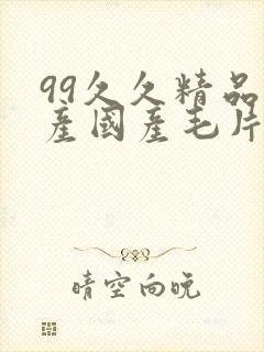 99久久精品国产国产毛片