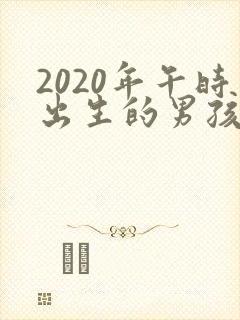 2020年午时出生的男孩取名