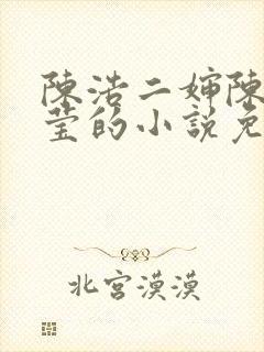 陈浩二婶陈丽小莹的小说免费阅读