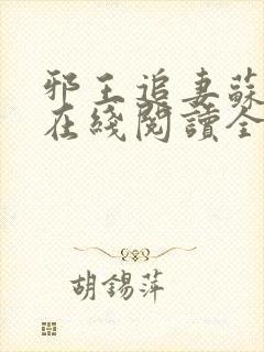 邪王追妻苏小暖在线阅读全文