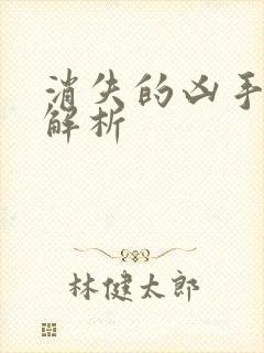 消失的凶手深度解析