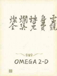 灿烂转身电视剧全集免费观看