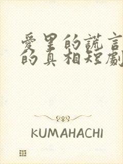 爱里的谎言仇恨的真相短剧全集