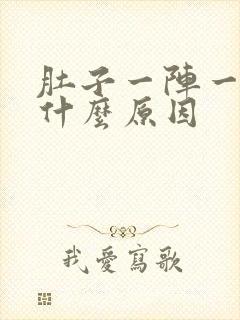 肚子一阵一阵痛什么原因