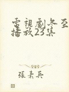 电视剧冬至免费播放23集