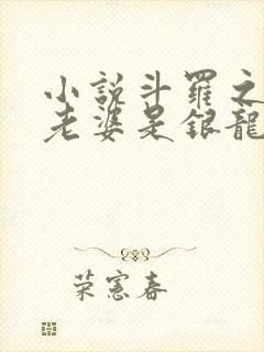 小说斗罗之我的老婆是银龙王