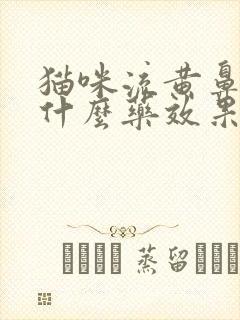 猫咪流黄鼻涕吃什么药效果好